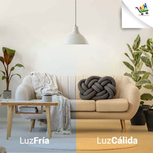 Cargar imagen en el visor de la galería, Lámpara Led 15w Fría Werke - Pack X 10 Un
